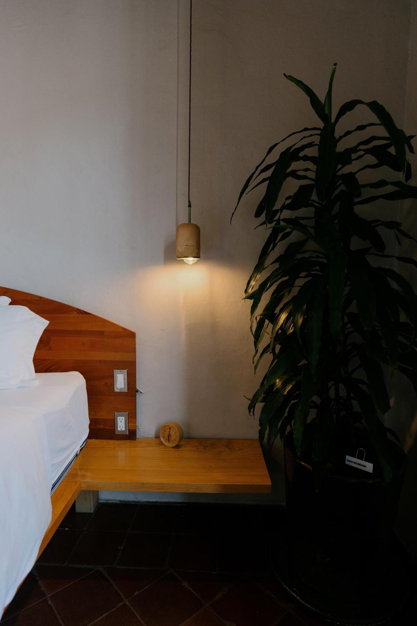 Oaxaca Grana B&B מראה חיצוני תמונה