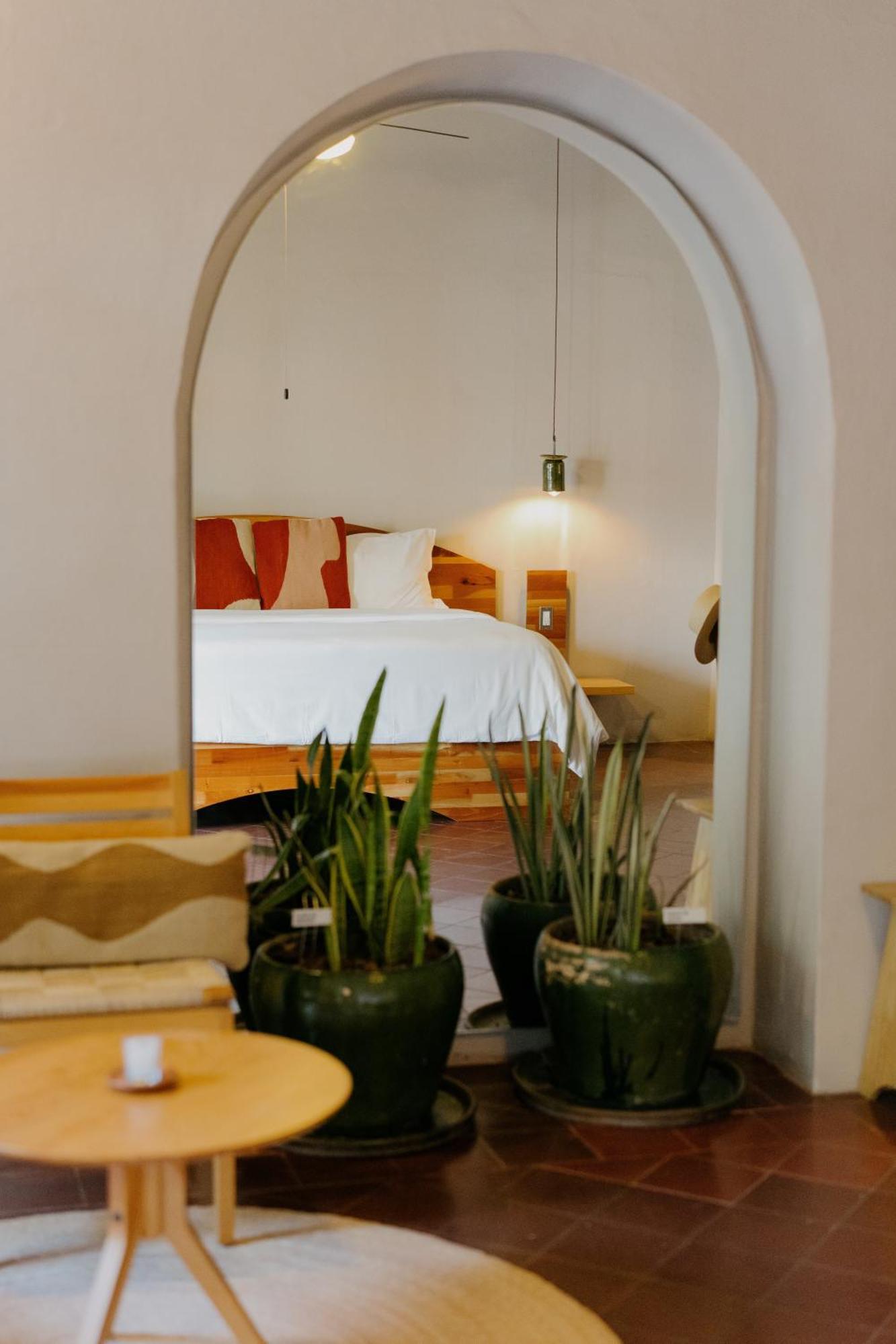 Oaxaca Grana B&B מראה חיצוני תמונה
